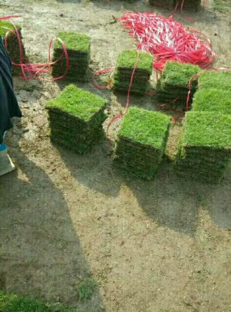 福建马尼拉，，，产地直供上车价，