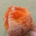 柿饼1~2两