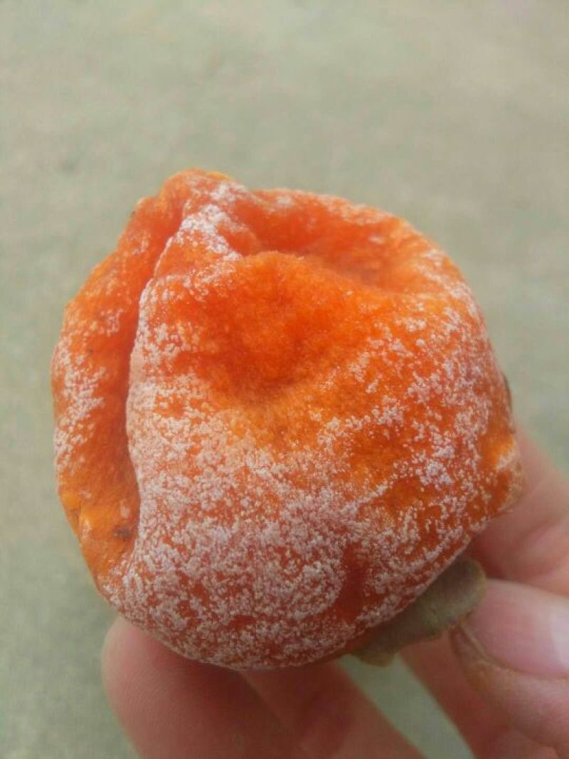 柿饼1~2两