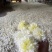 药用菊花散装