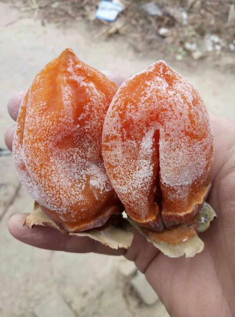 柿饼1两以下