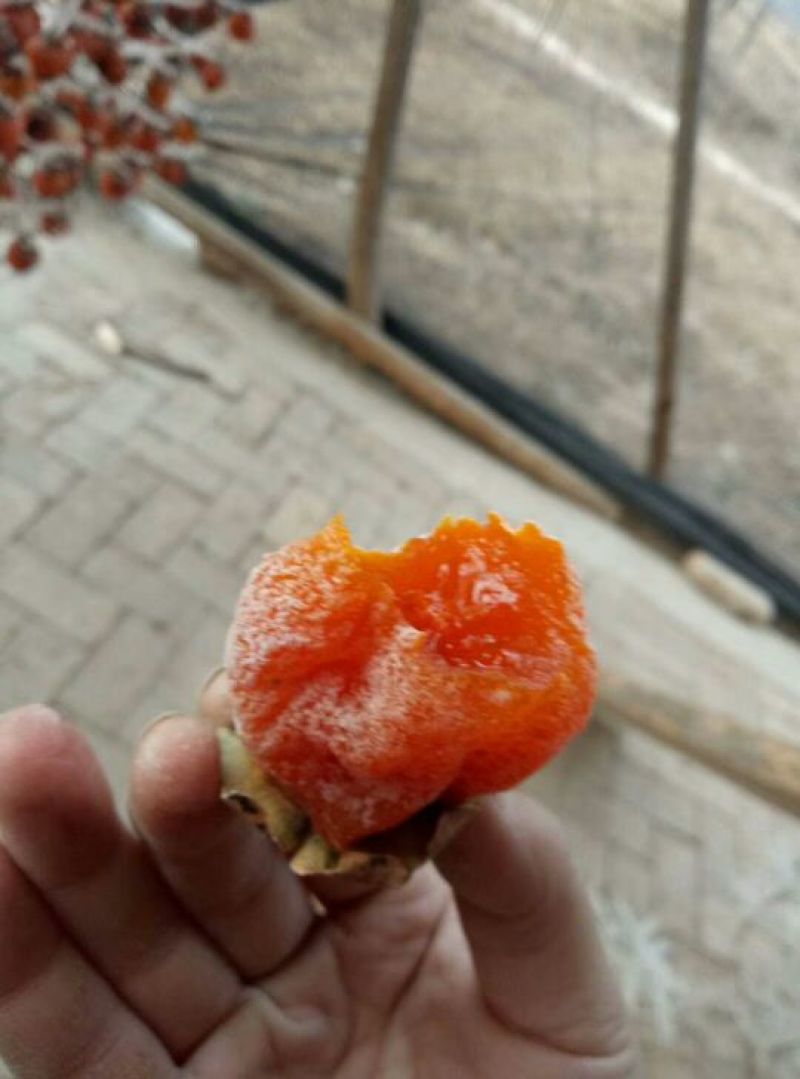柿饼1两以下