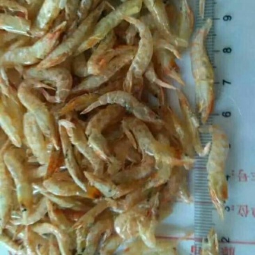 红虾干
