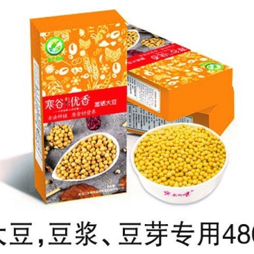 黄黄豆优质