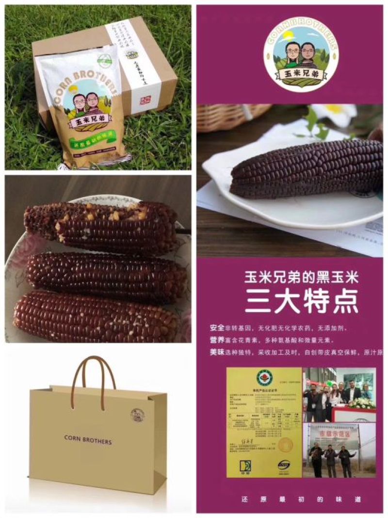 黑玉米20~30%