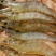 基围虾食用活虾