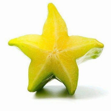 杨桃苗红杨桃苗
