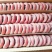 广西桂林恭城圆柿饼柿子干非富平吊柿礼盒5斤装10斤装