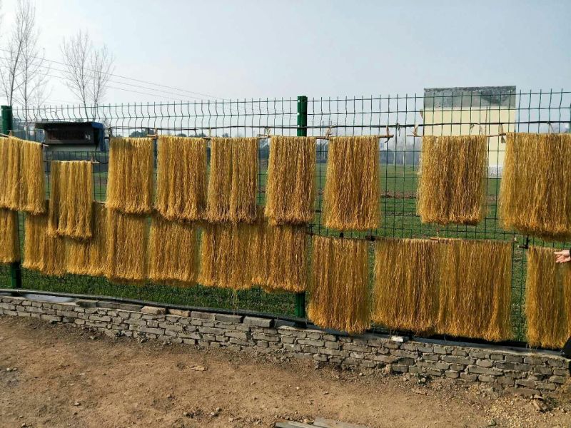 红薯粉条中粉