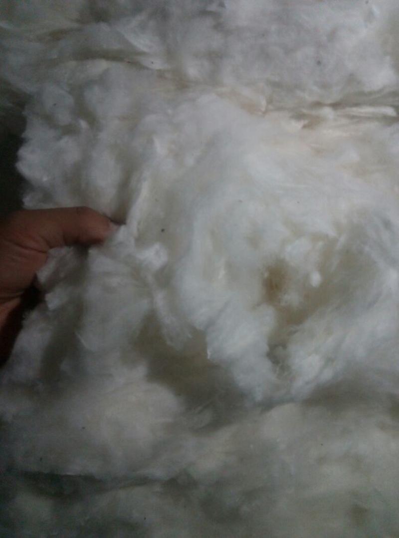 新疆优质细绒棉1级28mm产地直发品质保