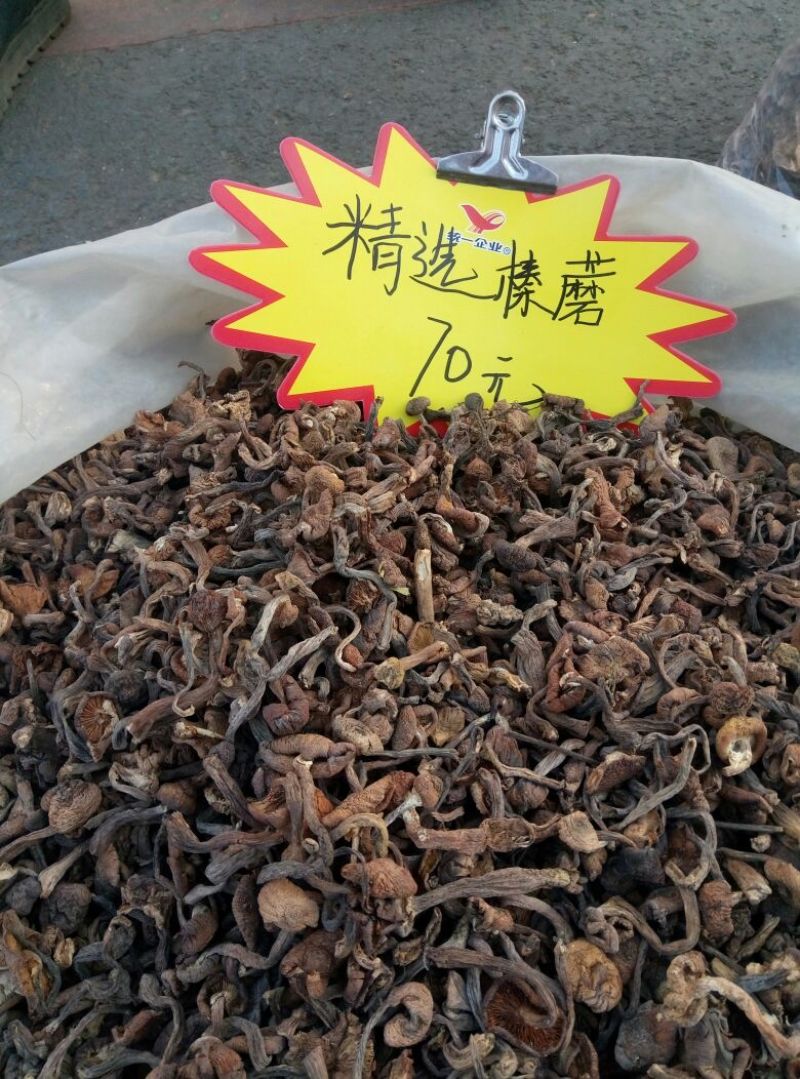 东北榛子木耳榛蘑白蘑猴头等
