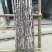 黑皮甘蔗4~5cm1.5~2米4~6斤