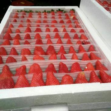 妙香草莓30~40克