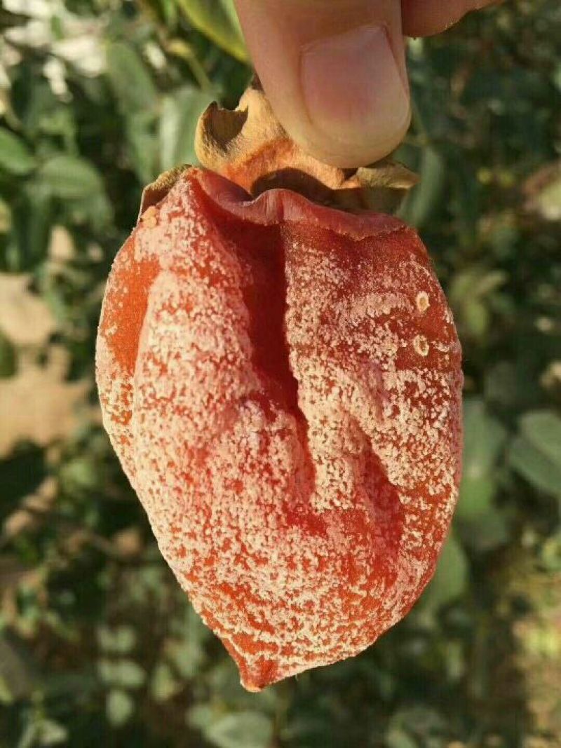 柿饼1~2两