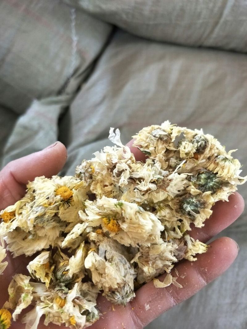 杭白菊袋装