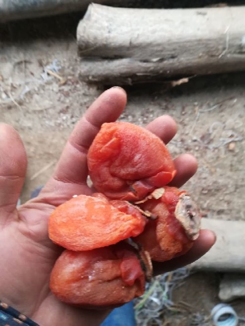 柿饼1两以下