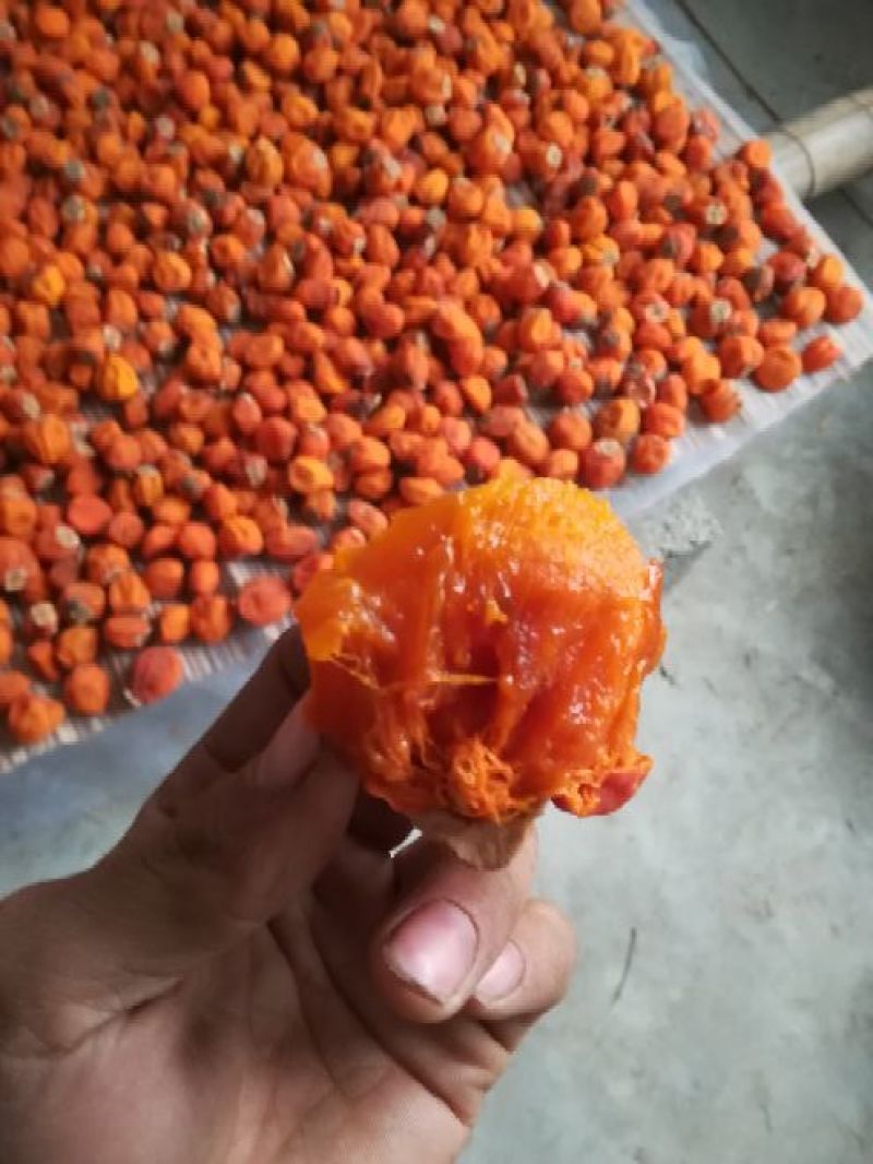 柿饼1两以下