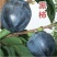 黑柿苗又黑又甜