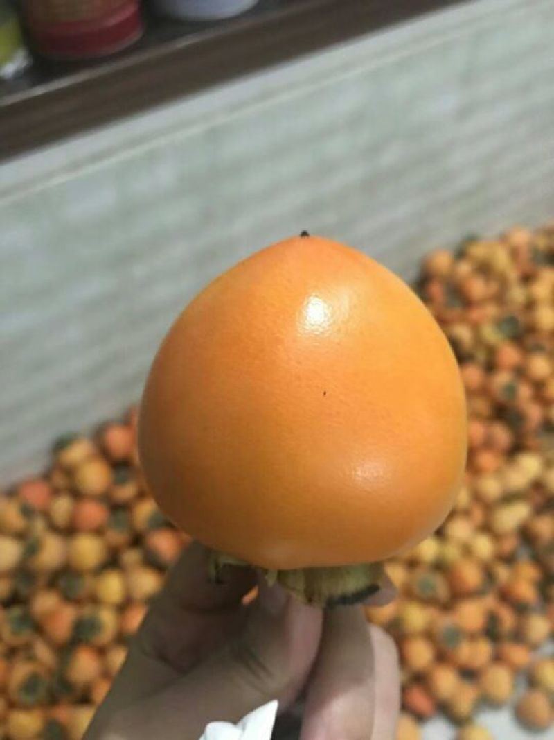 柿饼1~2两