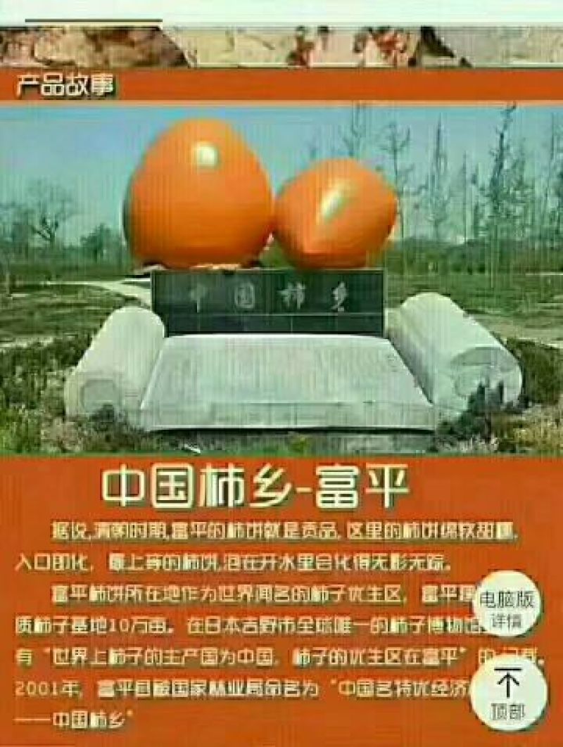 柿饼1~2两
