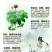 三七根茎60头选货干货