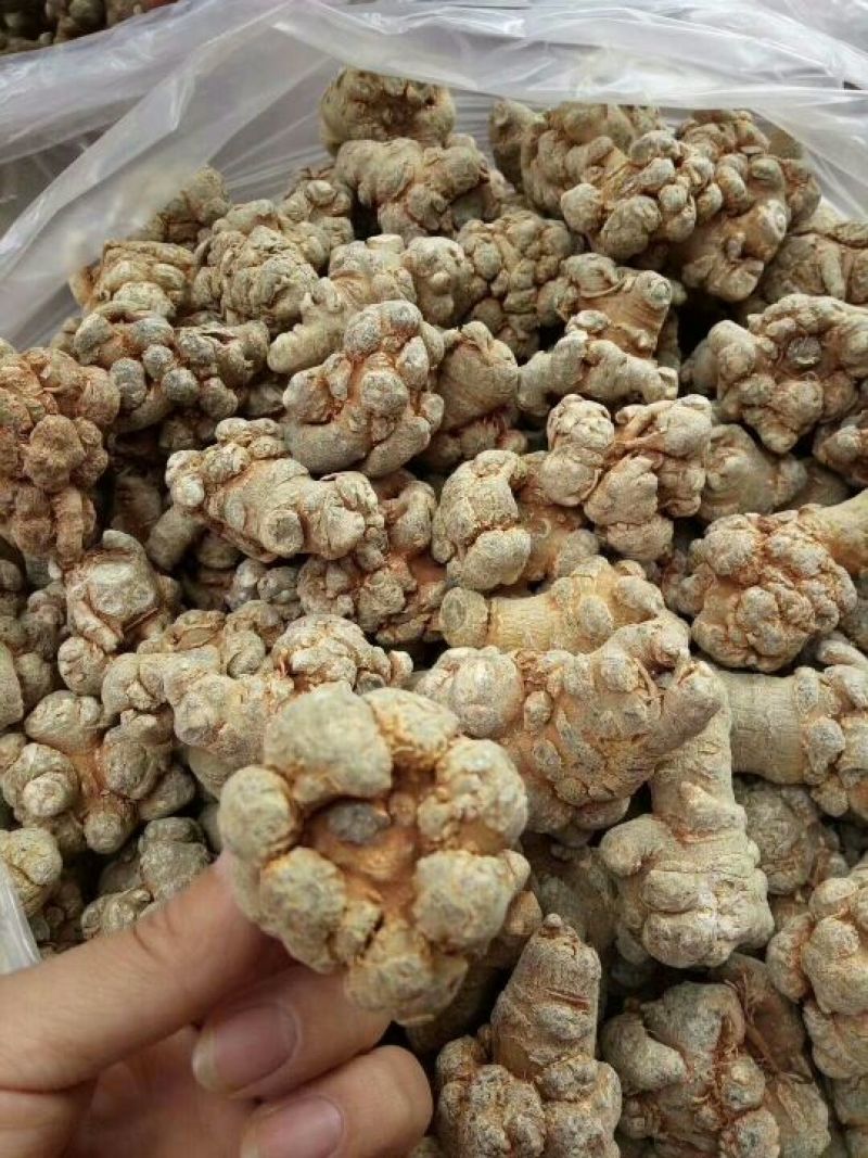 三七根茎60头选货干货