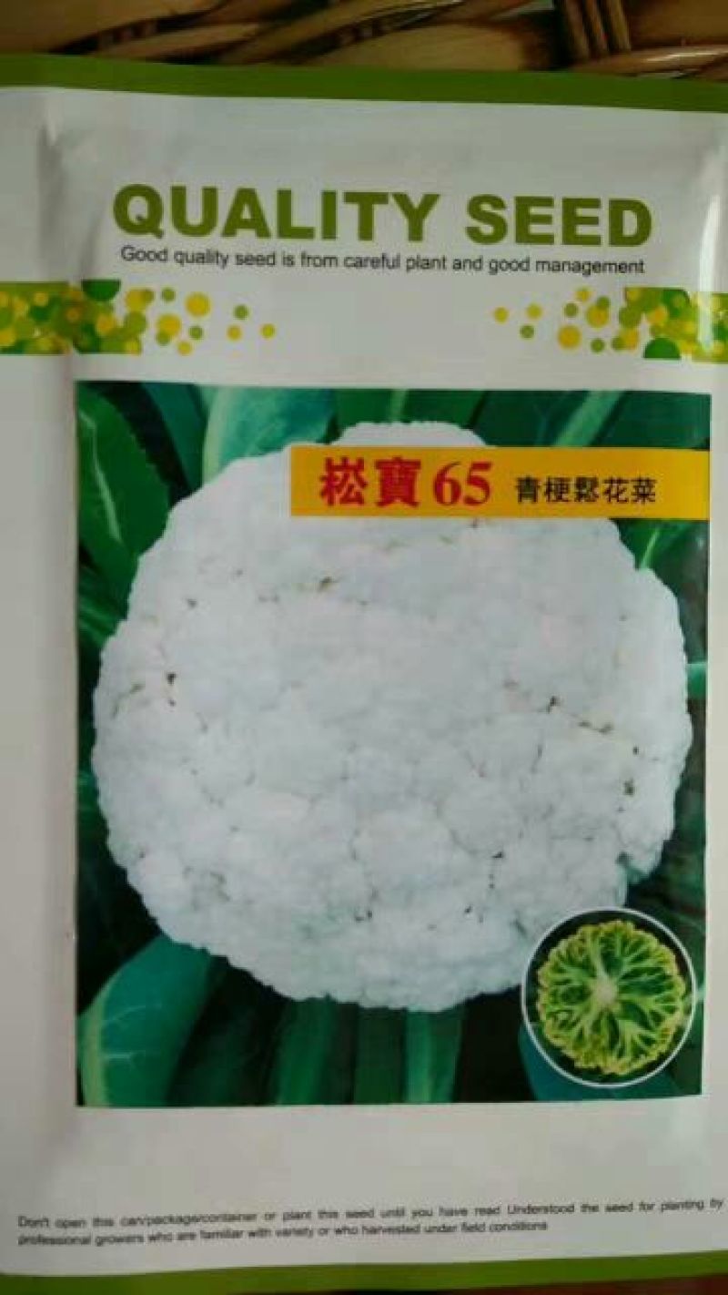 青梗菜花种苗菜花苗松花菜苗