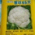 青梗菜花种苗菜花苗松花菜苗