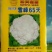 青梗菜花种苗菜花苗松花菜苗