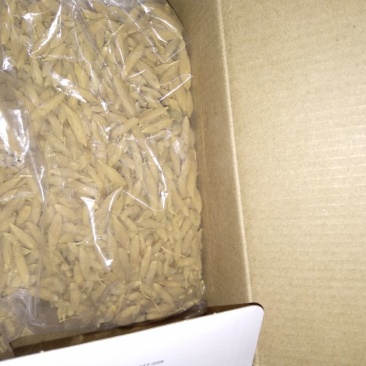 麦冬野生一手货源深山采挖个大味甜无硫自然风干有好货