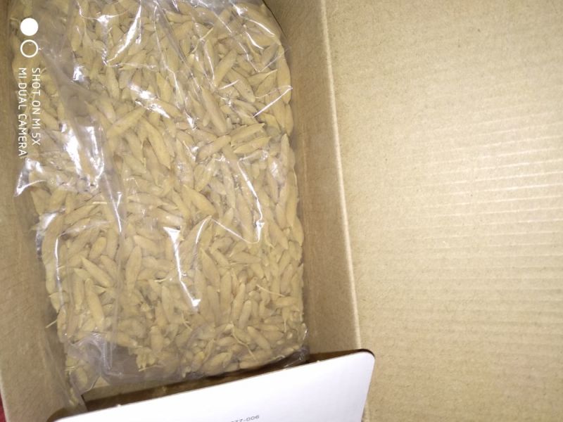 麦冬野生一手货源深山采挖个大味甜无硫自然风干有好货
