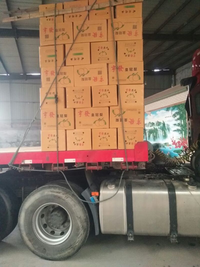 【梨】皇冠梨皮薄多汁可视频看货产地货源欢迎选购