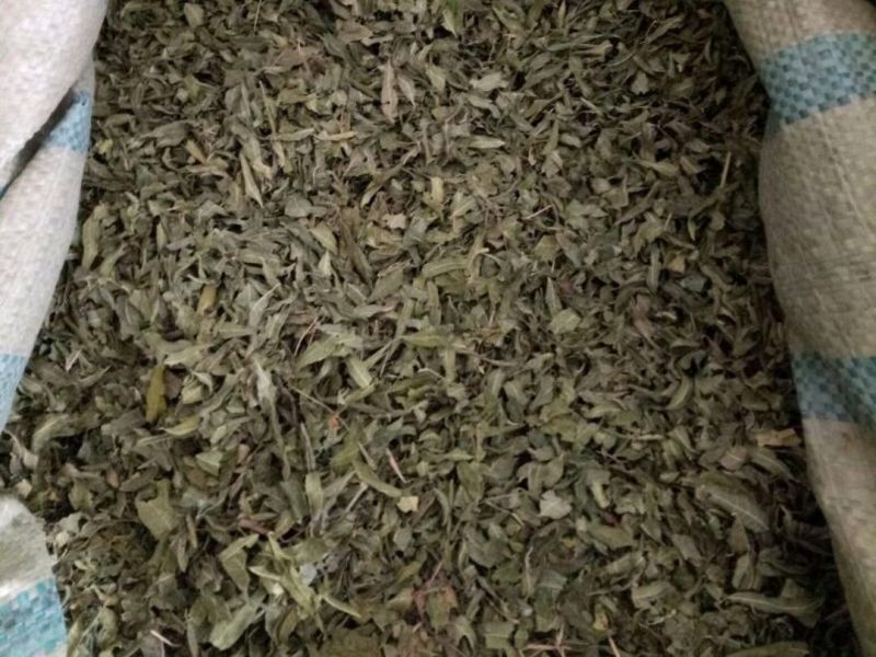罗布麻叶可泡水各种中药材批发零售各种规格