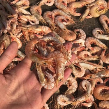 虾干一级