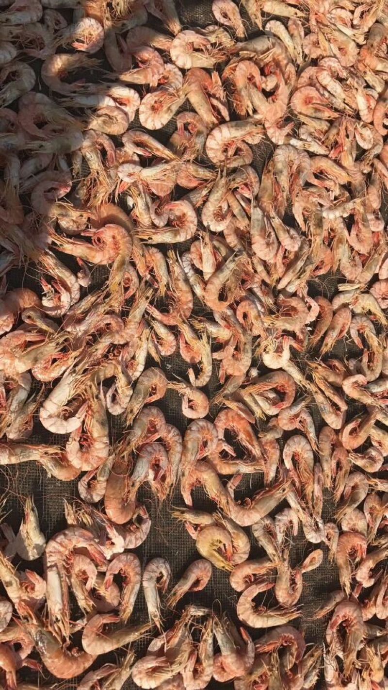虾干一级