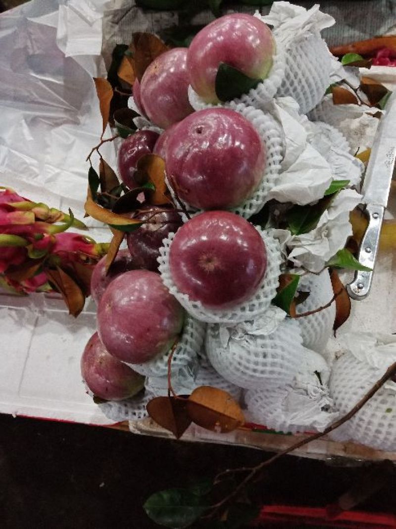 牛奶果牛奶果5-8两，一级