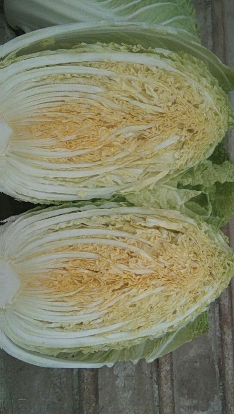 黄心菜25~30cm