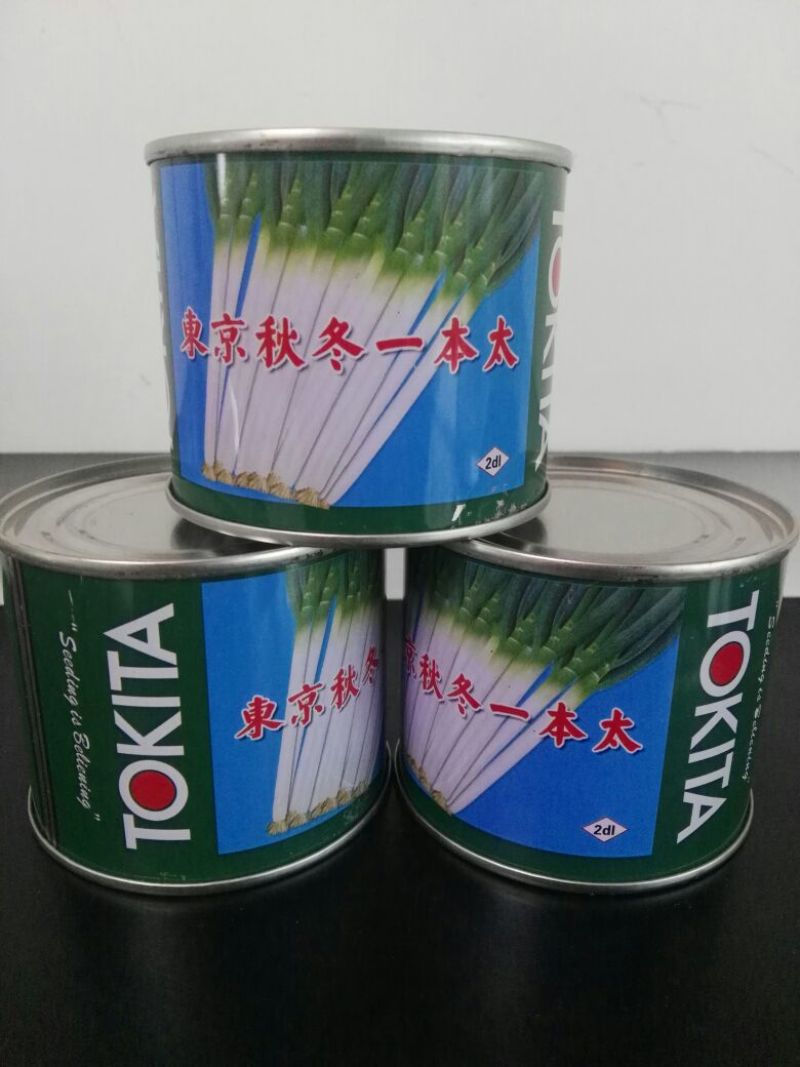 大葱种子时田钢葱种子