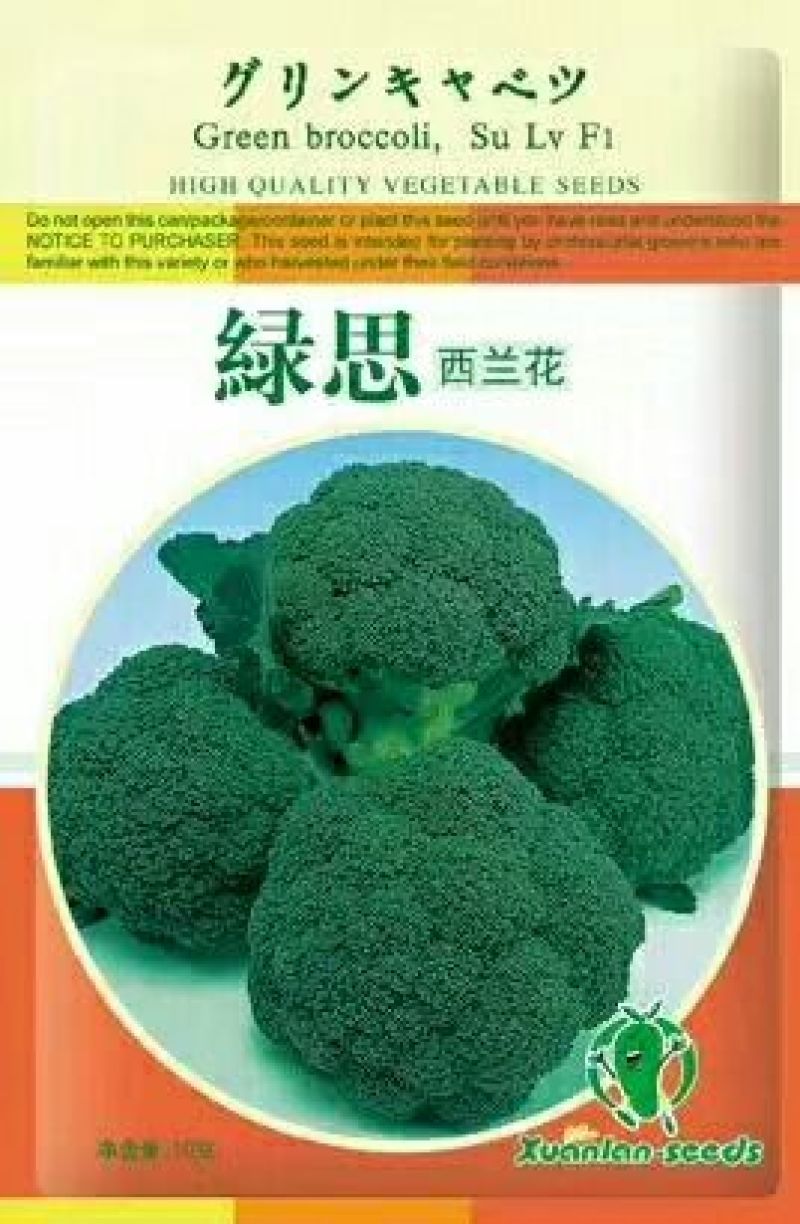 西兰花种子耐寒优秀