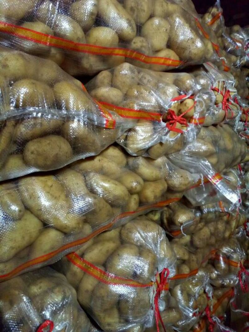 土豆精品3两以上