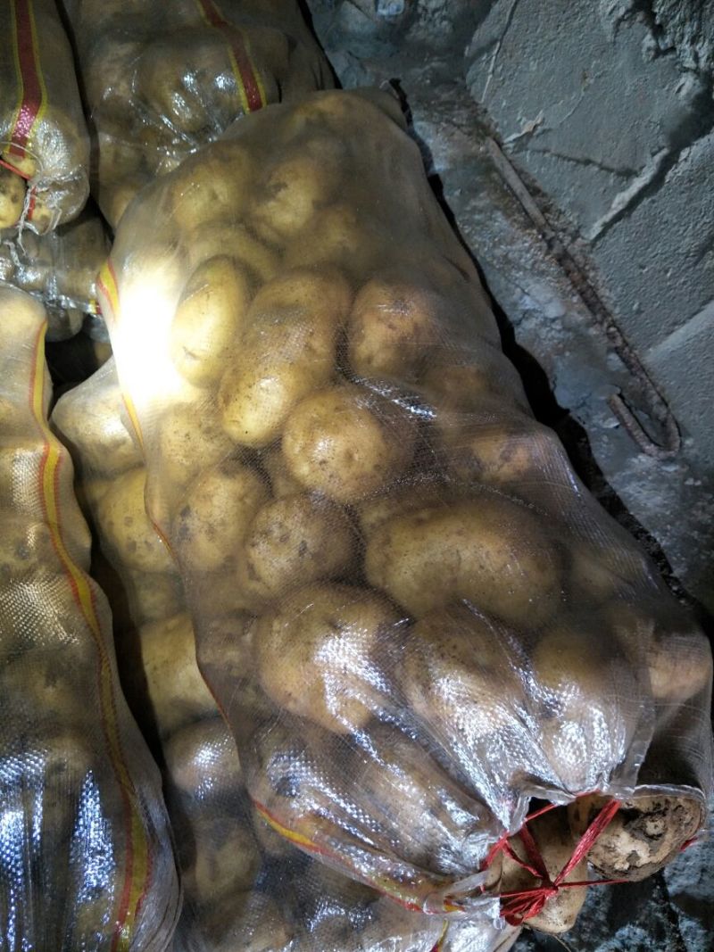 土豆精品3两以上