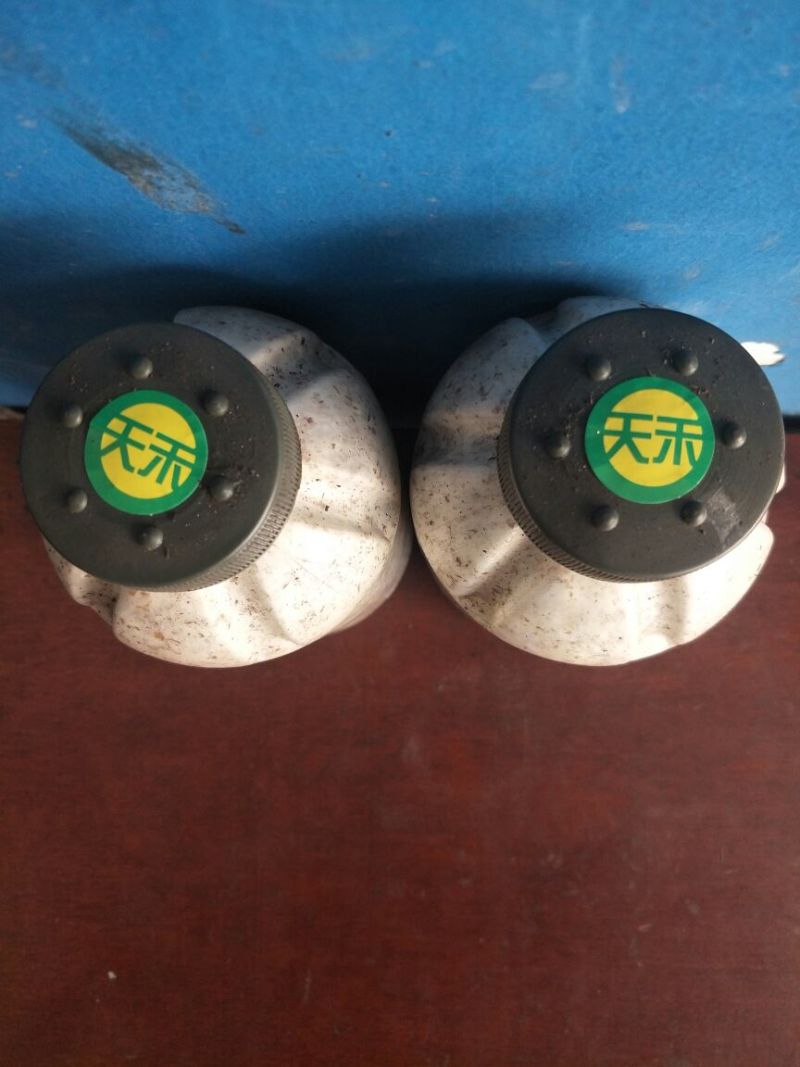 密环菌