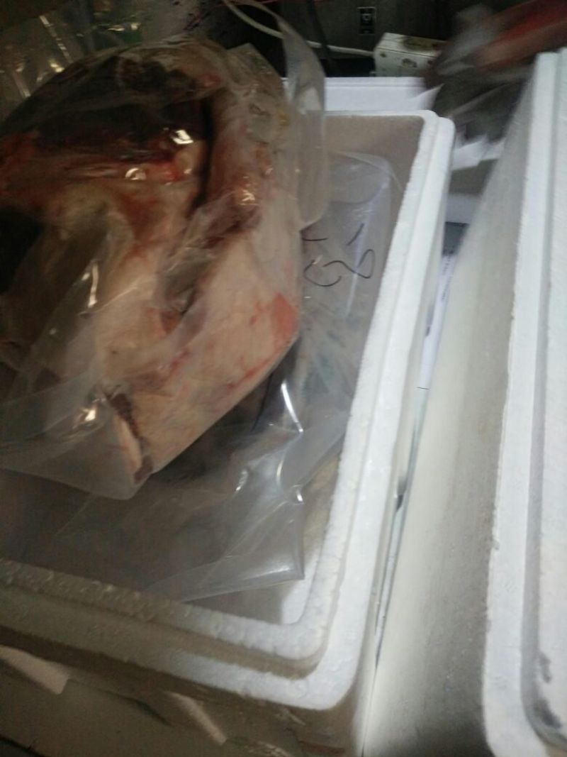 羊肉绵羊肉否带骨