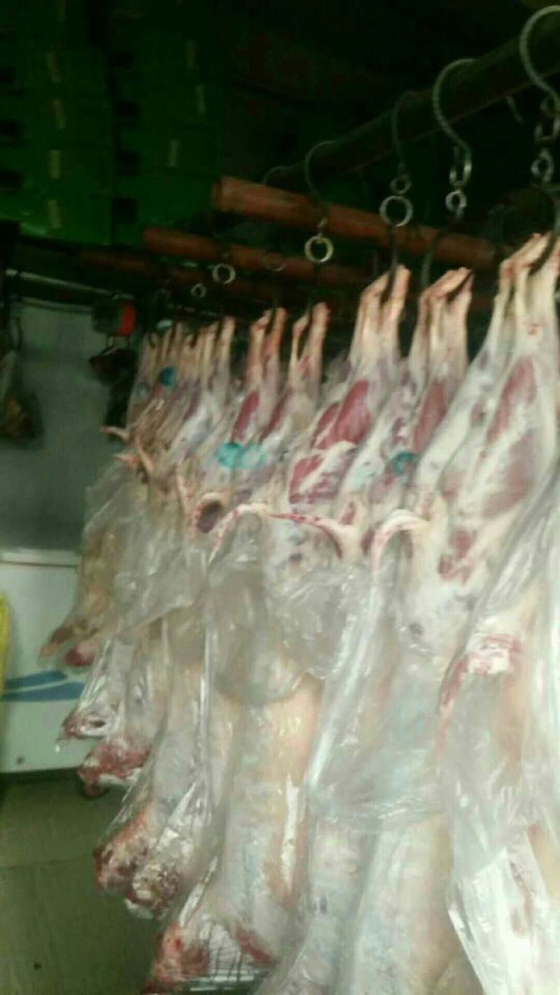 羊肉绵羊肉否带骨