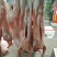 羊肉绵羊肉否带骨
