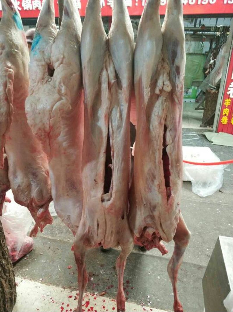 羊肉绵羊肉否带骨