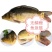 镜鲤1~2公斤食用