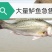 鲈鱼食用