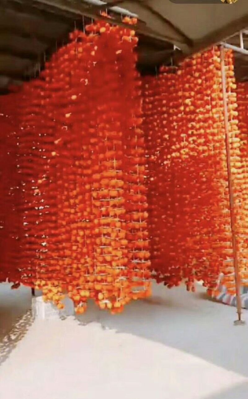 柿饼1~2两