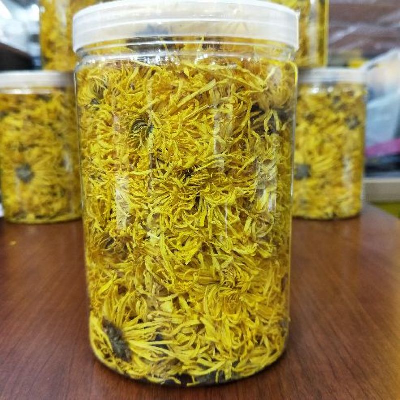 皇菊茶金丝皇菊